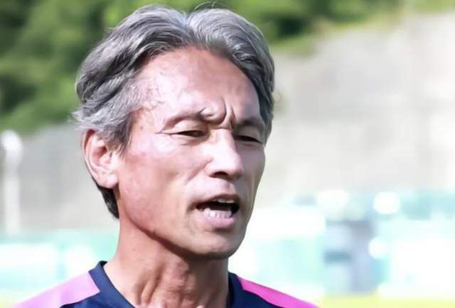 绿野仙踪林视频入口欢迎您